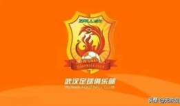 武汉长江爆料最新消息视频,揭秘视频背后的惊人真相